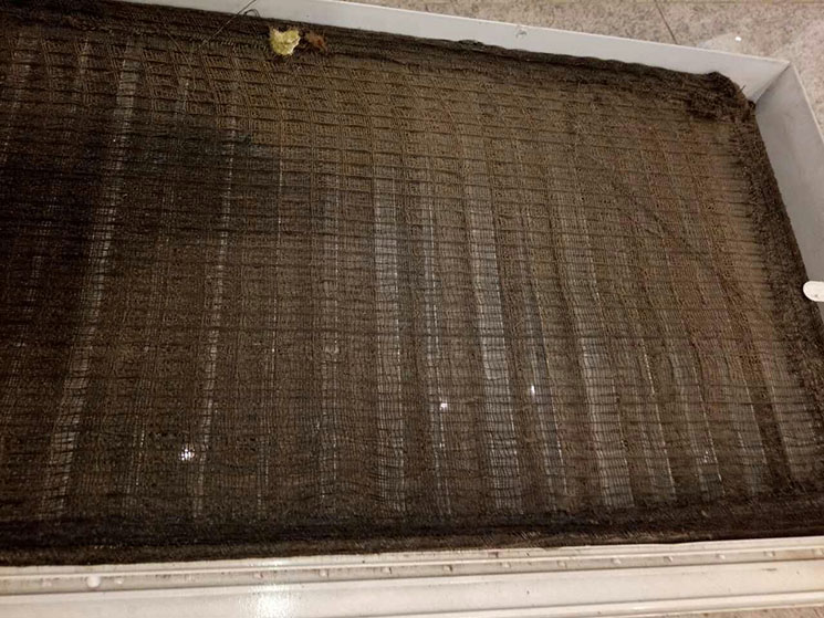 mmexport1491554514183.jpg mmexport1491554514183.jpg